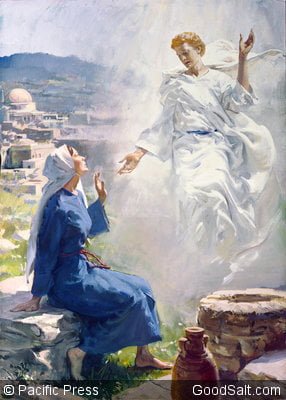 Was Mary Capable of Saying No to the Angel Gabriel? - Ascension