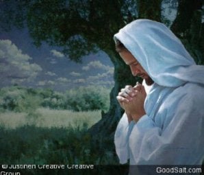 Jesus praying in an olive grove at nigh