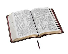 Are you reading your Bible?