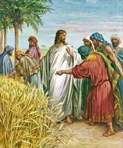 Christ and Disciples in Grain Field