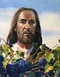 Jesus With Grapes