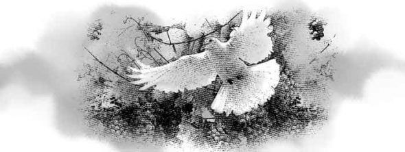 Holy Spirit represented as a dove