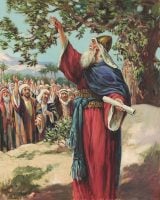 Joshua Renews the Covenant