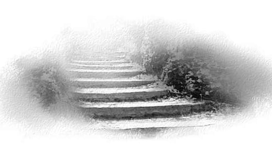 Steep steps, The stairs lead to some upper-level vineyard t…