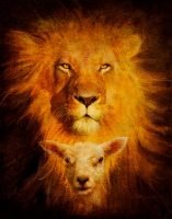 Lion and Lamb