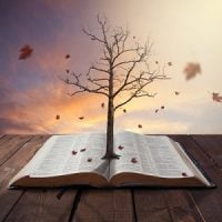 Tree Growing Out of Bible
