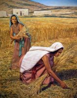 Ruth Gathers Grain