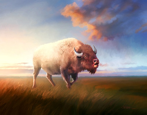 A Bison on the Prarie