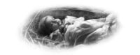 Baby in a Basket