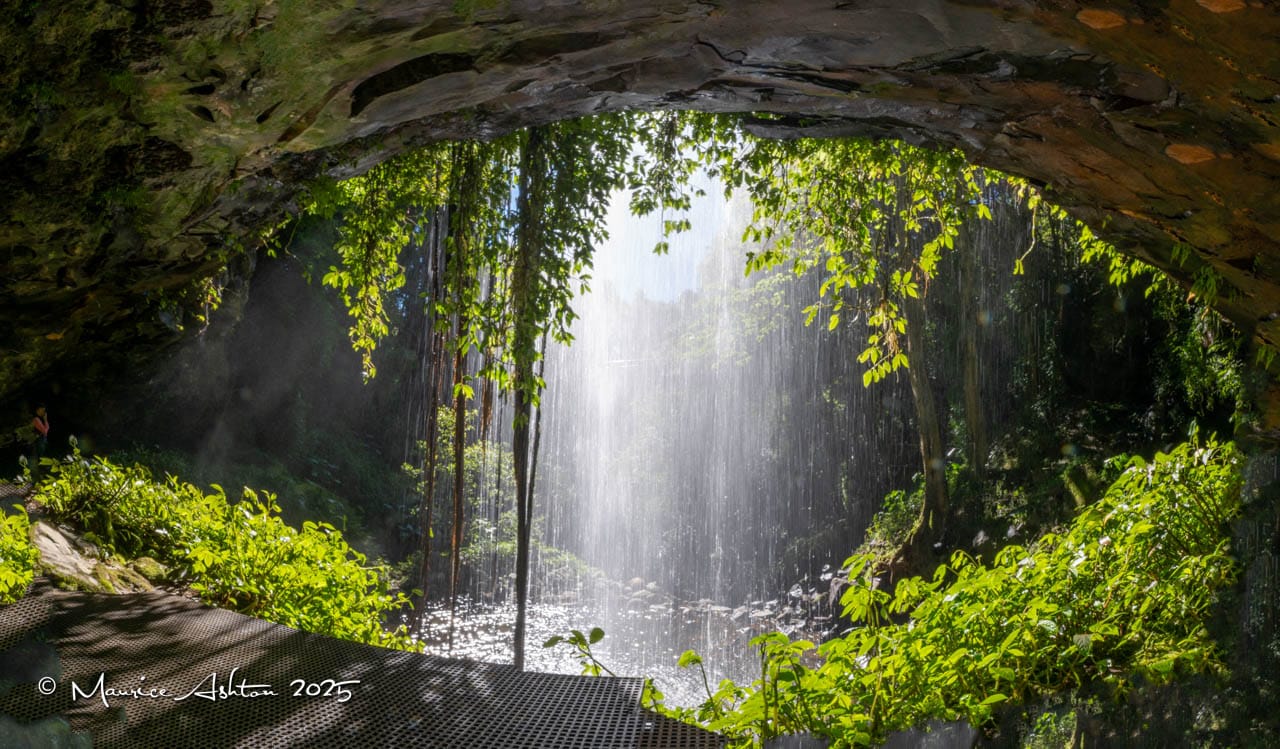 Crystal Falls, Dorrigo NP