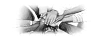 Group of People Holding Hands