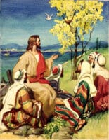 Jesus Tells Parable of the Mustard Plant