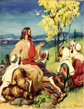 Jesus Tells Parable of the Mustard Plant