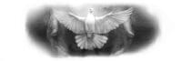 Hands of God Holding a Dove